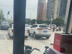 -宠爱国际动物医院·疑难骨科·心肾内科·皮肤科(太阳宫店)