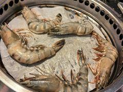 -熊出没日本烧肉放题