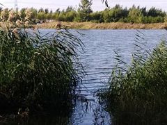 -蒲河岛湿地公园