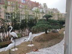 -枫华丽致酒店