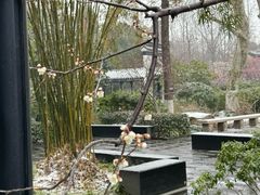 -红梅公园