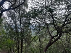 -青州市云门山风景区