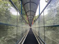 -七仙岭温泉国家森林公园