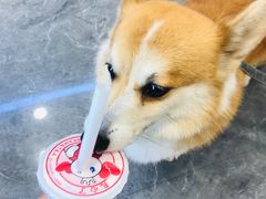 -蜜雪冰城(江南万达金街店)