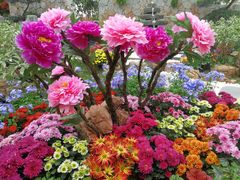 -重庆市江北嘴中央商务区中央公园