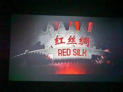 -SFC上影百联影城(川沙IMAX店)