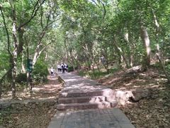 -紫金山山顶公园