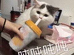 -麦隆咖啡(北大店)