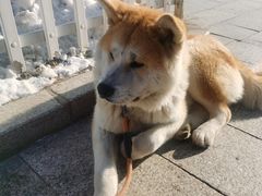 -帽儿山国家森林公园