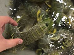 椒盐皮皮虾-班赞海鲜市场