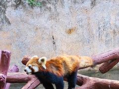 -长鹿旅游休博园