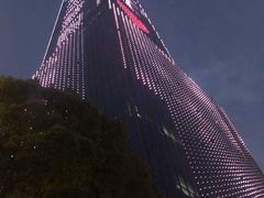 -上海龙之梦万丽酒店