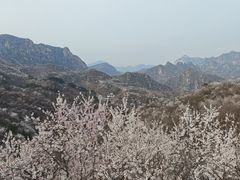 -龙泉峪长城