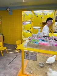 -神奇动物撸宠馆·羊驼·小浣熊·异宠(豫园店)