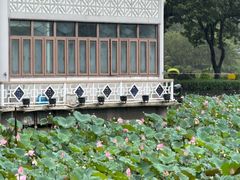 -荔湾湖公园