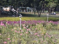 -文华公园(禅城区)