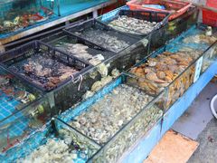 -瑶记海鲜餐厅(西涌店)