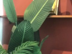 -SKROLL卡特司库·蛋糕定制·生吐司·司康(古北程家桥店)