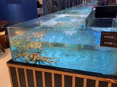 -都市阳光海鲜城(青山湖店)