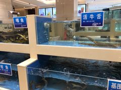 水产区-双井轩(双井店)