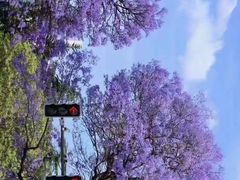 -西昌邛海湿地