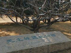 -元大都城垣遗址公园