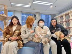 -帝京日语(春熙路旗舰校区)