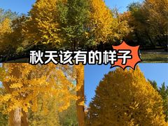 -北京理工大学(中关村校区)