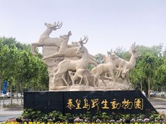-秦皇岛野生动物园