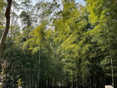 -仙山湖景区