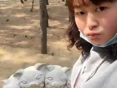 -林海公园