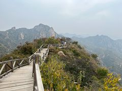 -大岭沟猕猴桃谷风景区