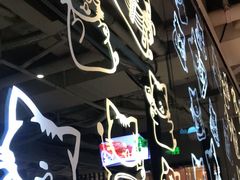 -猫爪爪原切自助烤肉(观音桥阳光世纪店)