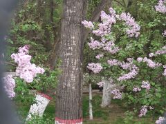 -西宁市人民公园(城西区)