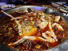 -红牌美蛙鱼头火锅(万辉国际广场店)