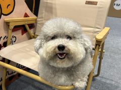 -南宁国际会展中心