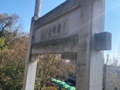 -紫金山山顶公园