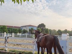 -幸福湖国际会议中心