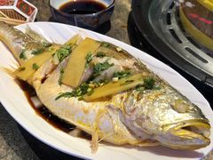 清蒸大黄花鱼-日进一片海.生腌海鲜火锅.宵夜烧烤(三里屯总店)