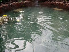 -苏州湾王焰温泉度假酒店