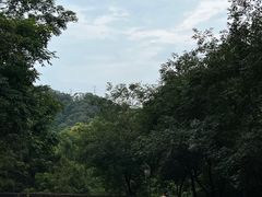 -广州白江湖森林公园