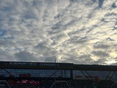 -谢列梅捷沃国际机场