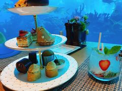 -海棠湾洲际-涛·海底餐厅·美人鱼·自助餐·海底隧道