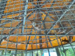 -梦幻奥陶纪景区