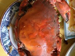 螃蟹-张树军海鲜(王府壹号店)