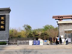 -莲花池公园
