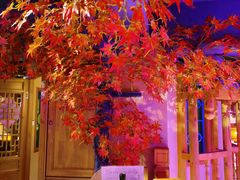 -巢爷老味(东方红店)