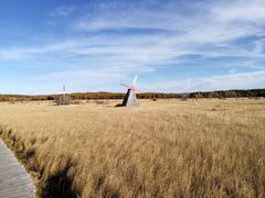 -塞罕坝国家级自然保护区