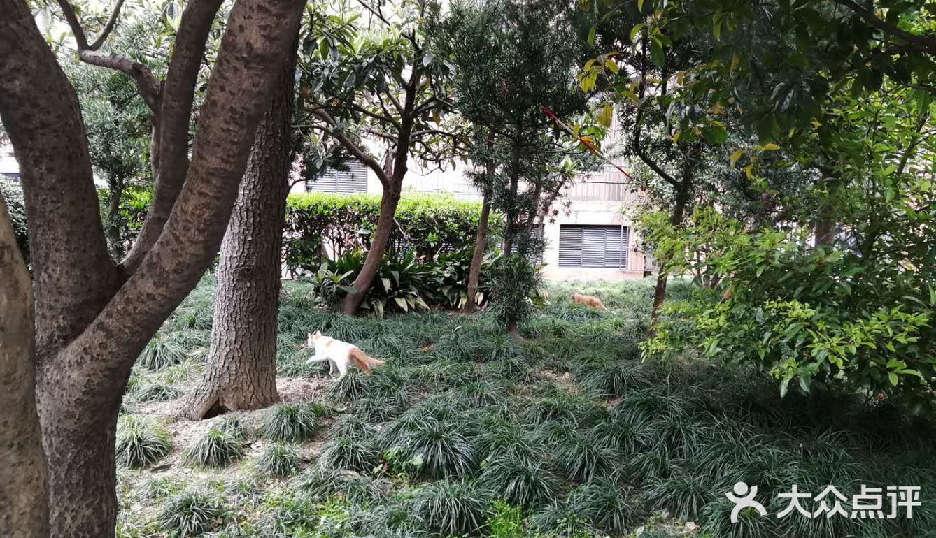 阳光明媚的日子，在小区里抬头看看蓝天白云