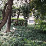 阳光明媚的日子，在小区里抬头看看蓝天白云